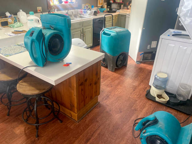 Best Water damage restoration near me  in Brookhaven, GA