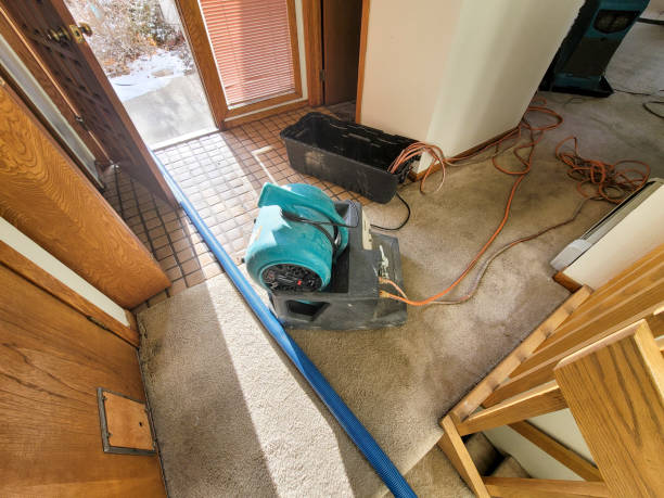Best Basement water damage restoration  in Brookhaven, GA