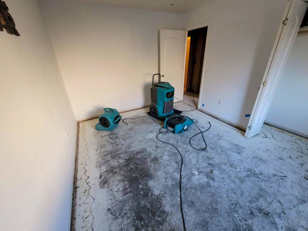 Best Water damage restoration experts  in Brookhaven, GA