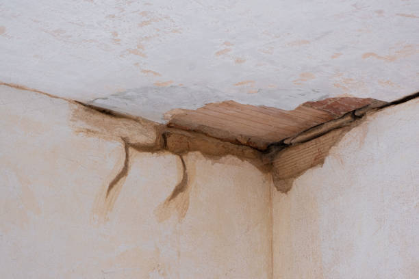 Best Flooded house restoration  in Brookhaven, GA