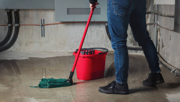Best Mold removal after water damage  in Brookhaven, GA