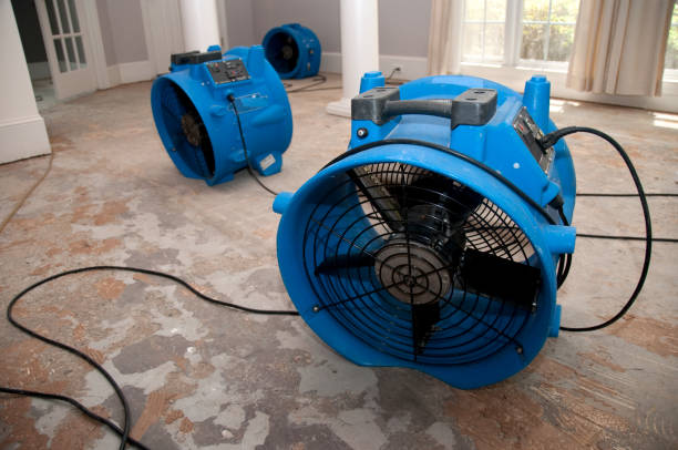 Best Flood restoration services  in Brookhaven, GA