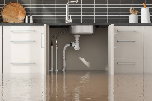 Best Water damage restoration near me  in Brookhaven, GA