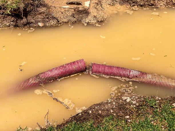 Best Water damage cleanup near me  in Brookhaven, GA