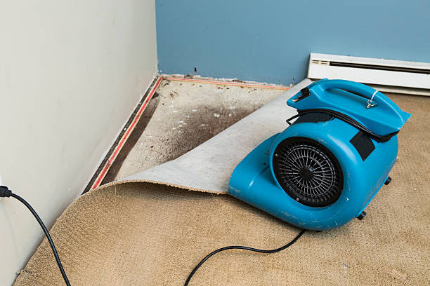 Best Carpet water damage restoration  in Brookhaven, GA